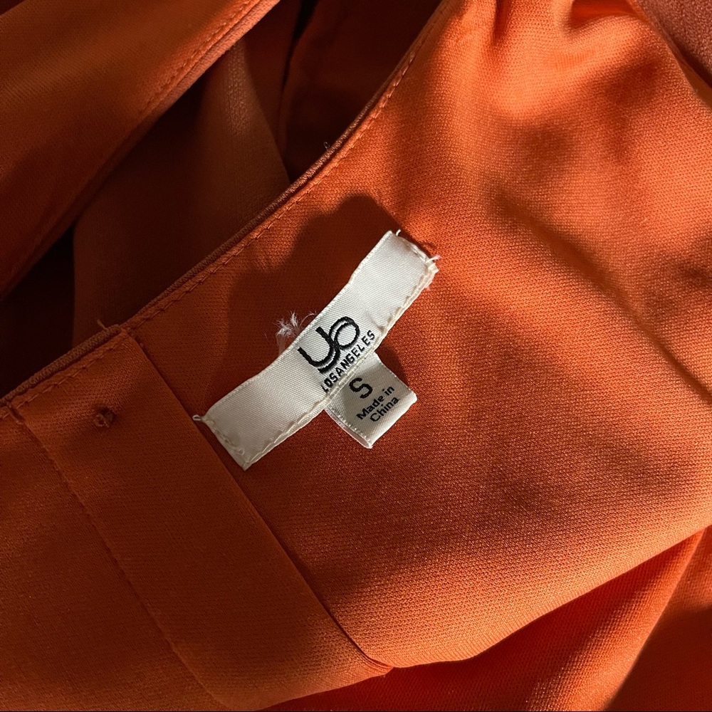 Fall Colours Pleated Dress - Picture 6 of 9